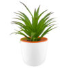 Mini Desk Plant Pot