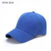 Orega 6 Panel Heavy Acrylic Cap