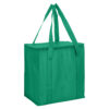 Non Woven Cooler Bag with Zipped Lid