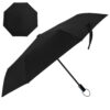 The Windsor Umbrella