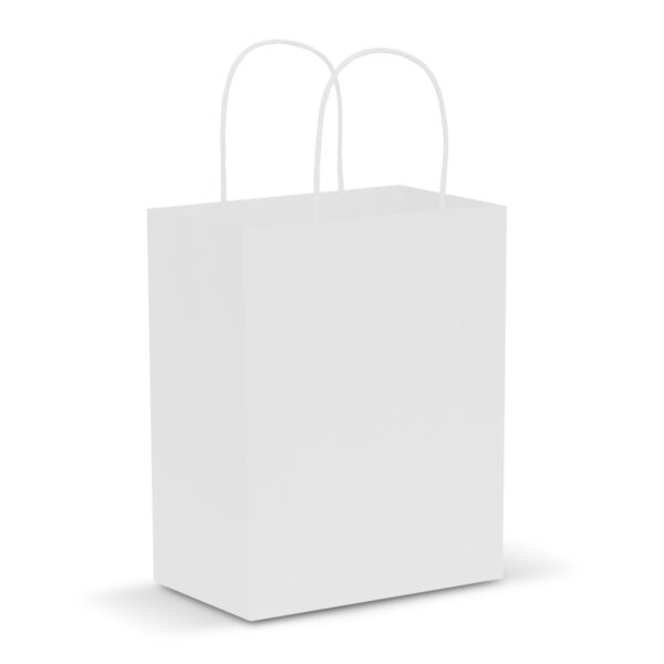 Paper Carry Bag - Medium