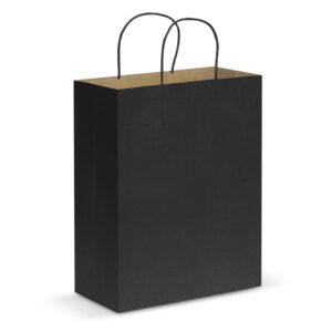 Paper Carry Bag - Large