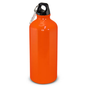 Intrepid Bottle - 600ml